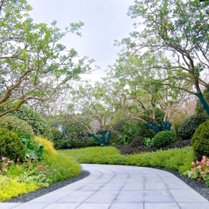 別墅庭院設(shè)計(jì)的后期如何養(yǎng)護(hù)当机立断？